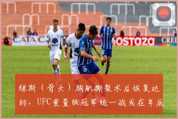琼斯(骨头)胸肌撕裂术后恢复达标,UFC重量级冠军统一战或在年底